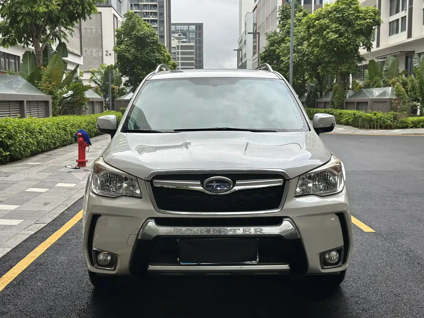 Photo 2 - Subaru Forester