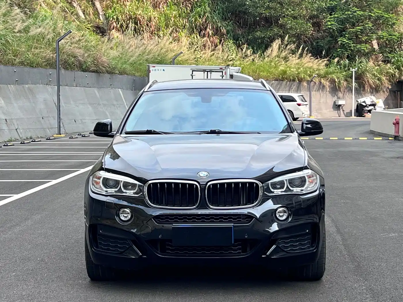 BMW X6 2015 xDrive28i фото 2