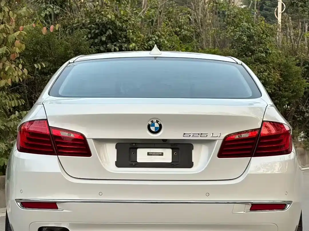BMW 5 Series 2014 525Li Luxury Design Package фото 9