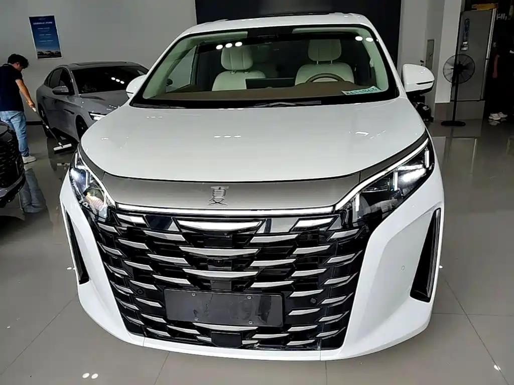 BYD Xia 2025 2025 DM-i 1.5T 180km Surpass Edition