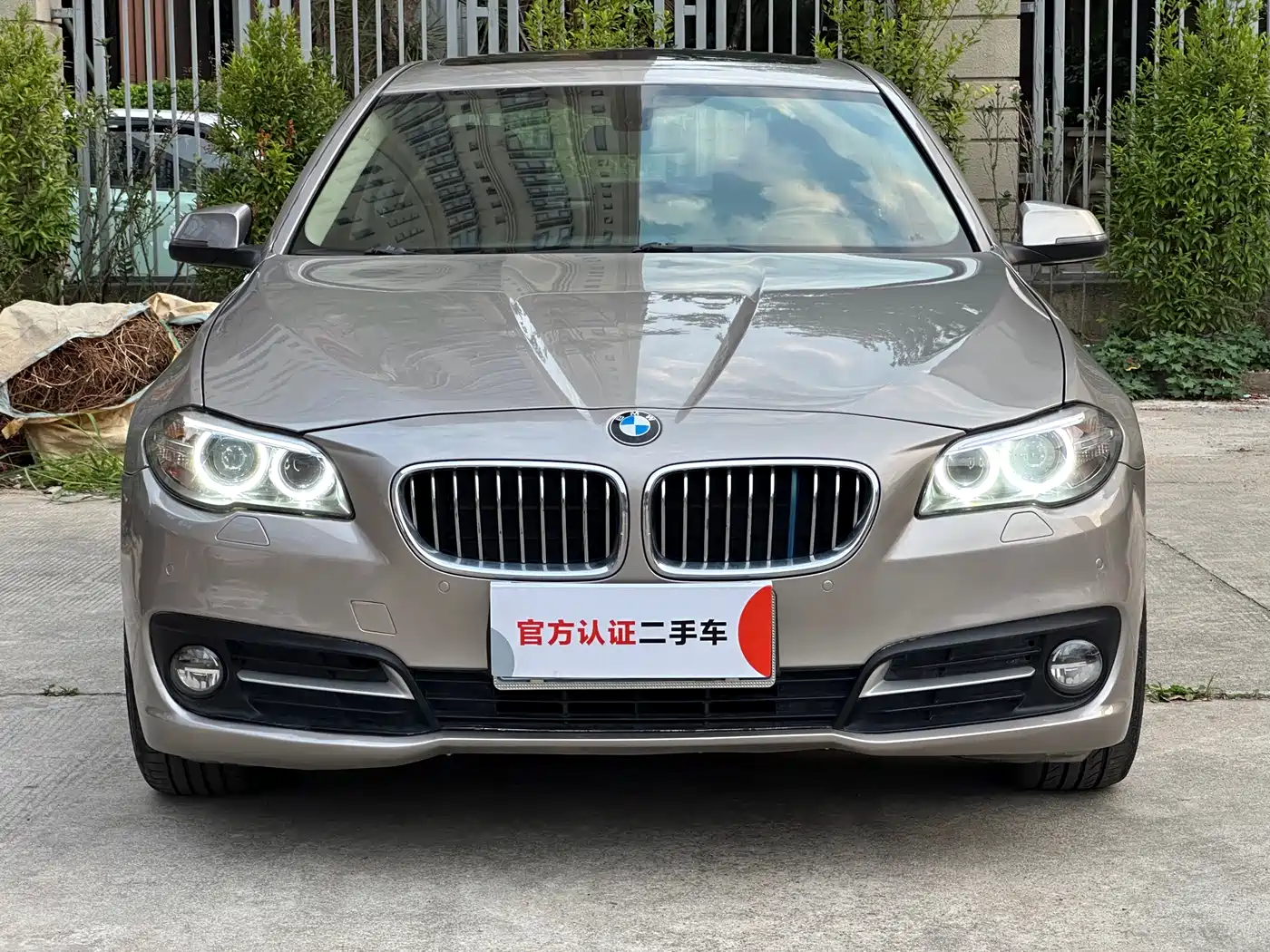 BMW 5 Series 2014 520Li Elegance фото 2