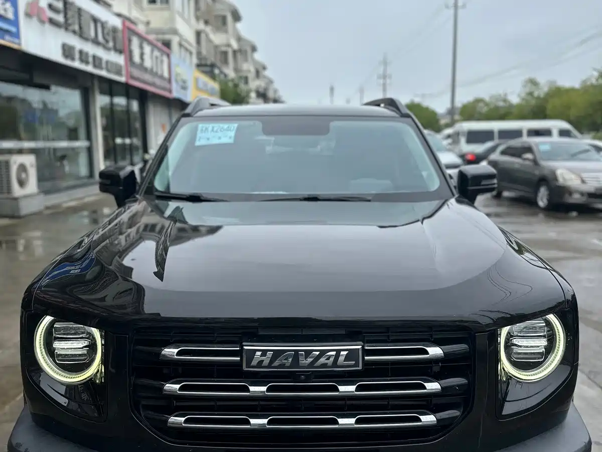 Haval Dargo 2021 2021 1.5T DCT 2WD Border Collie Edition
