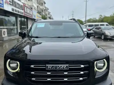 Haval Dargo