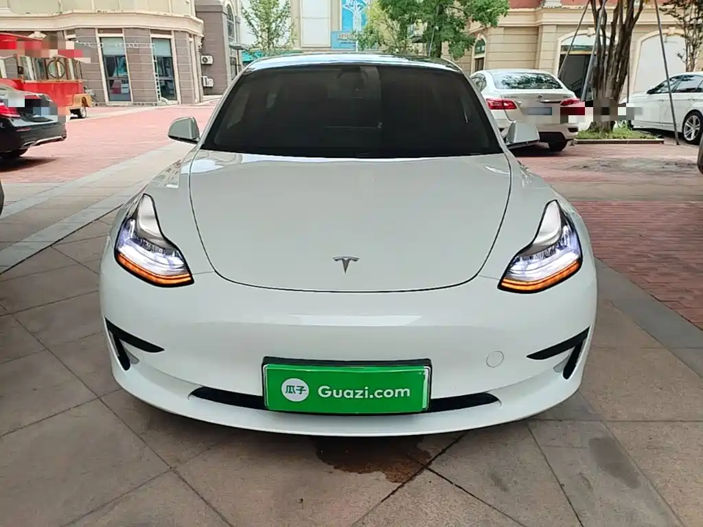 Tesla Model 3 2020 2020 Standard Range Rear-Wheel Drive Upgrade