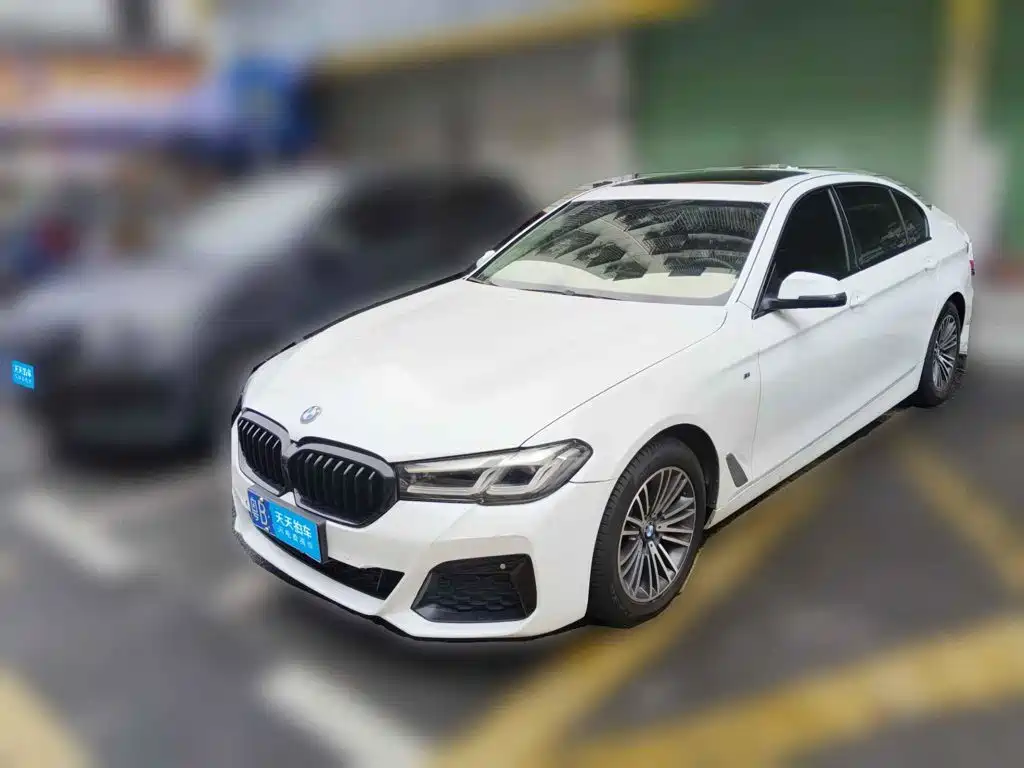 BMW BMW 5 Series 2014 525Li Leading