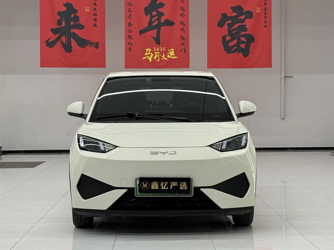 BYD Seagull 2025 Smart Drive Edition 305km Vitality Version фото 2