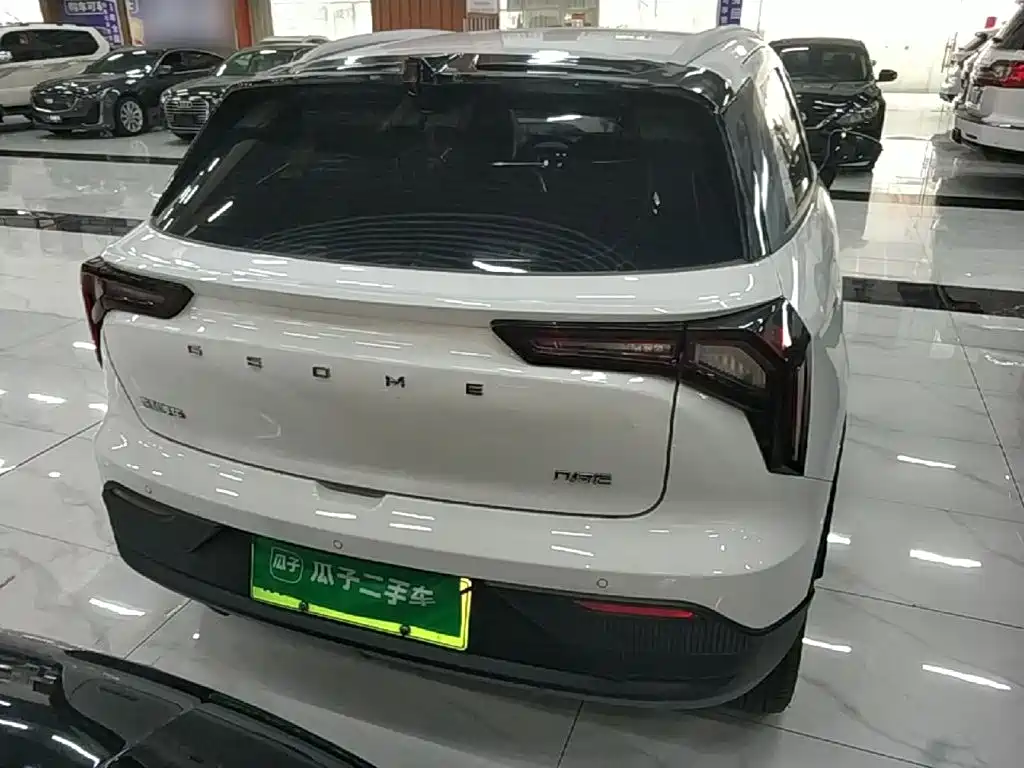 Geely Geometry E Firefly 2024 2024 401km Starlight
