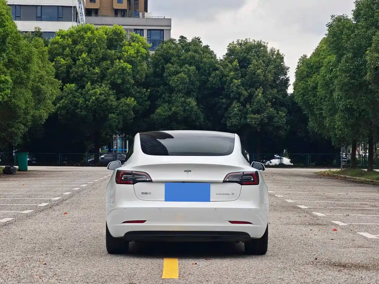 Tesla Model 3 2020 2020 Standard Range Rear-Wheel Drive Upgrade