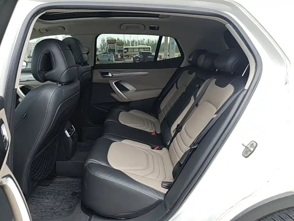 DS 6 2018 2016 1.6T Luxury THP160