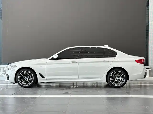 BMW 5 Series 2018 530Li Leading M Sport Package — фото 4