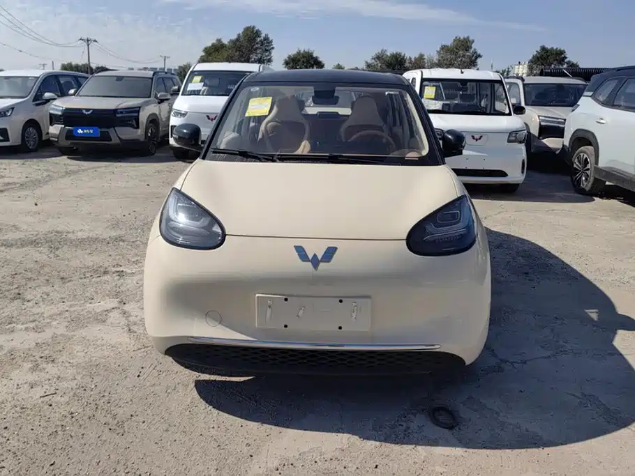 Wuling Motors Wuling Bingo 2026 2025 Model 333km Joy Edition