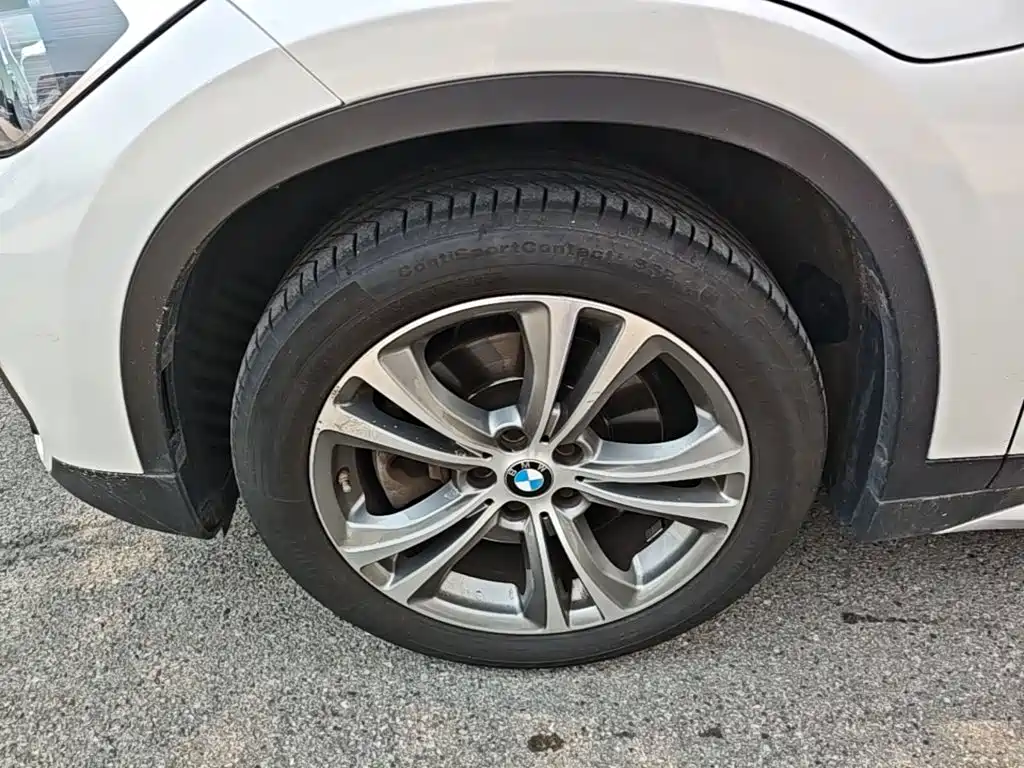 BMW X1 New Energy 2020 2020 xDrive30Le Premium Edition