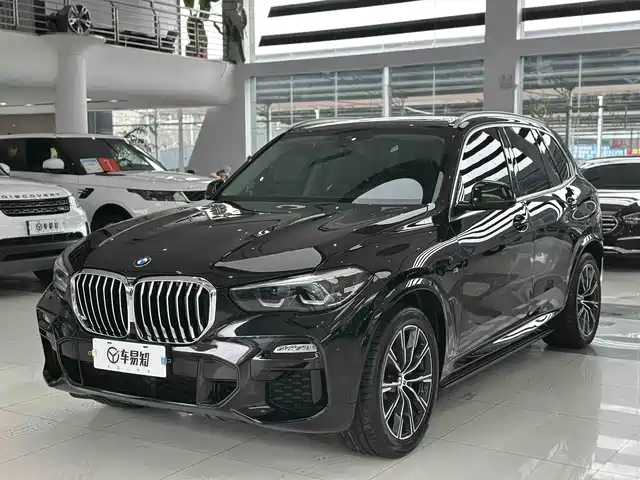 BMW X5 (Import) 2019 xDrive30i M Sport Package