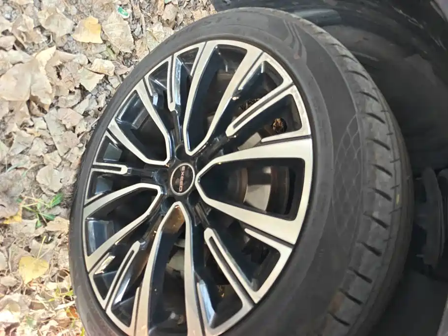 Exeed VX 2021 2021 390T 4WD Stellar Premium Long Range Edition