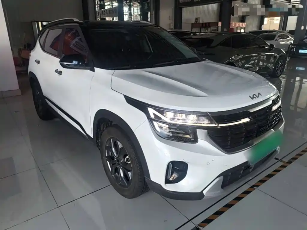Kia Seltos 2024 2023 1.5L CVT Luxury Edition
