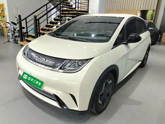 BYD Dolphin 405km, Свобода