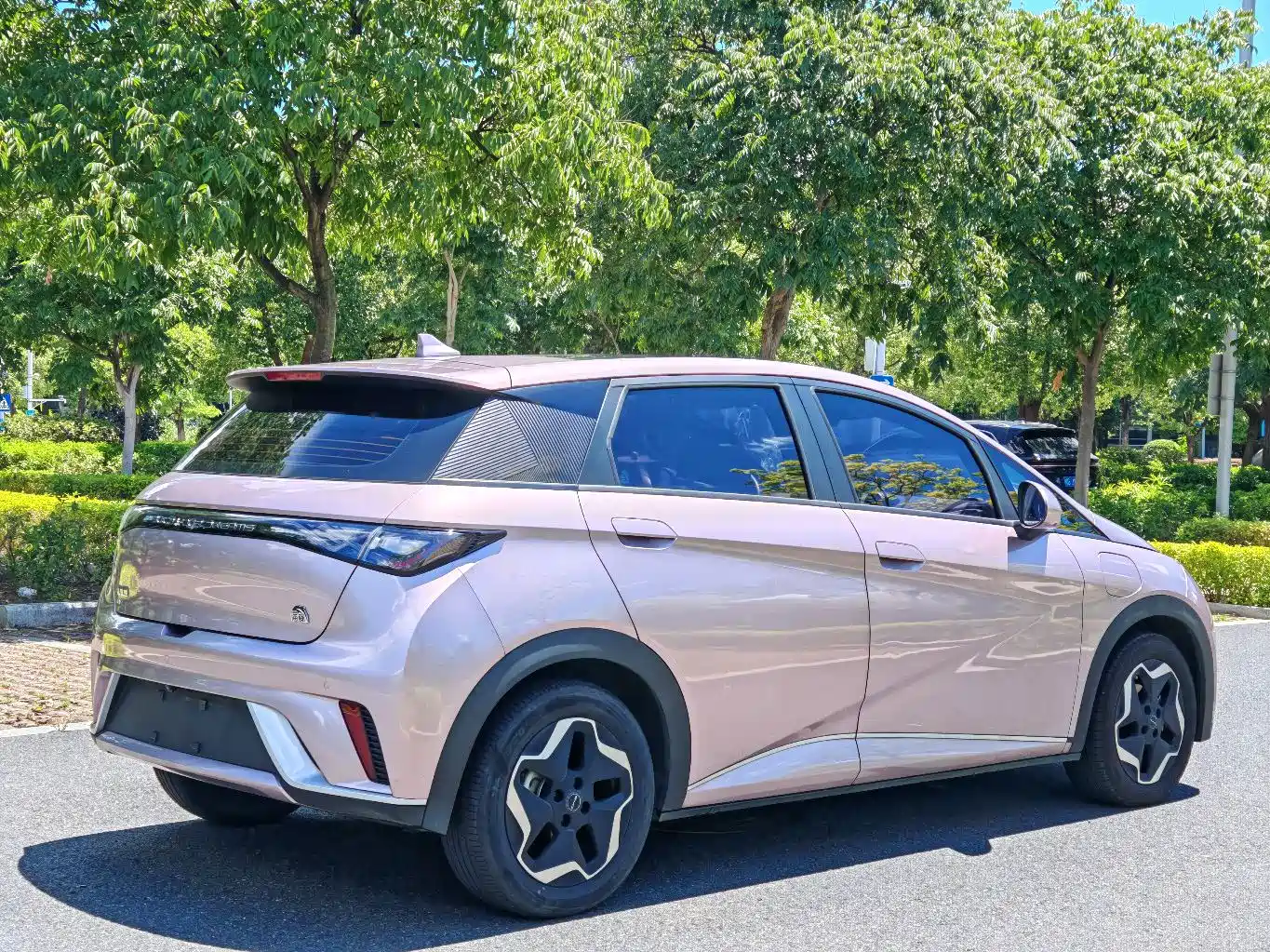 Photo 4 - BYD Dolphin