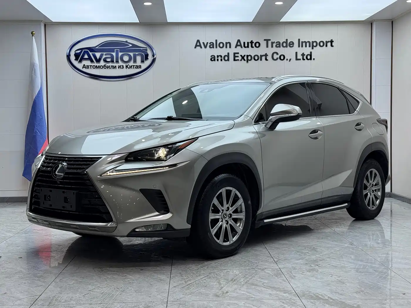 LEXUS NX