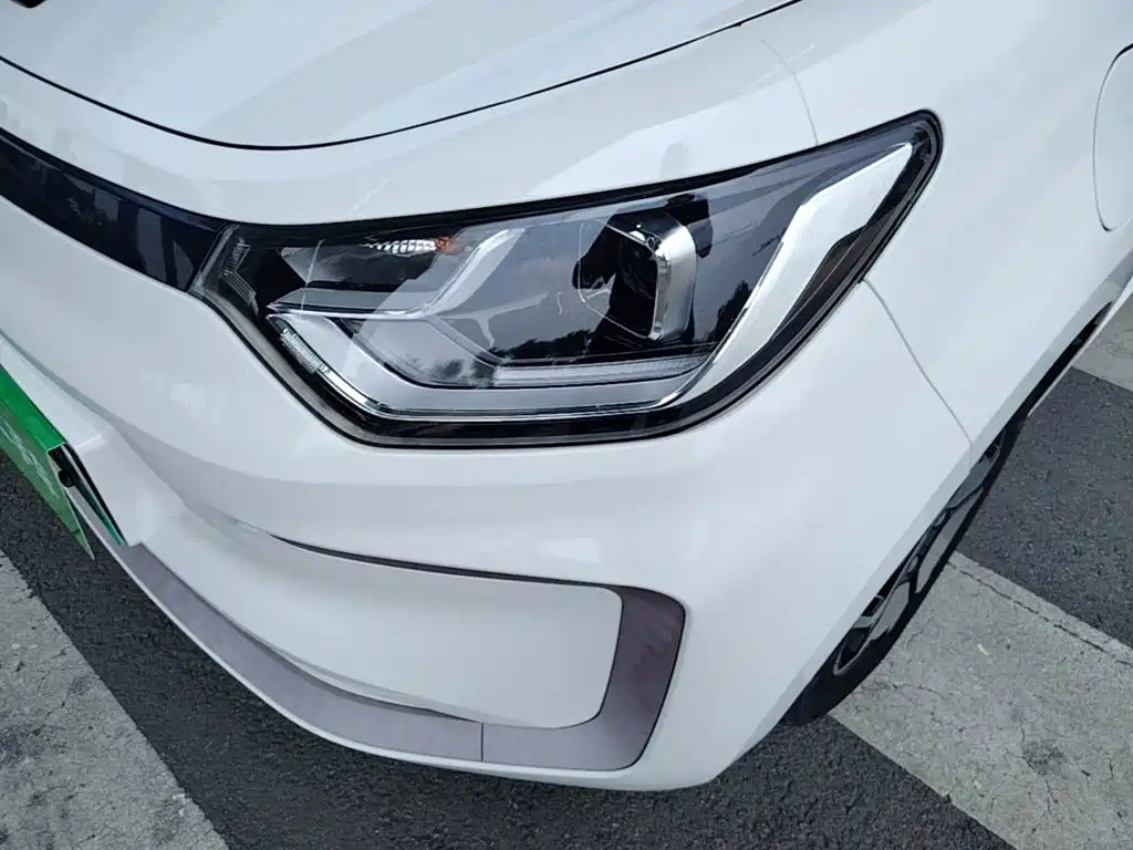 Sehol Flower Fairy 2021 2021 302km Luxury Edition 31.4kWh