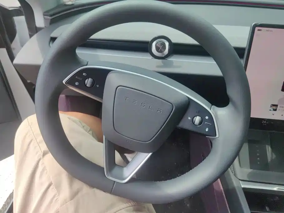 Tesla Model 3 2025 2025 Model Year Facelift Rear-Wheel Drive