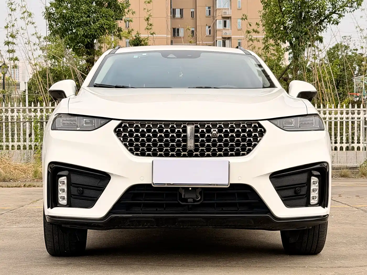 WEY VV7 2020 2020 2.0T Super Luxury