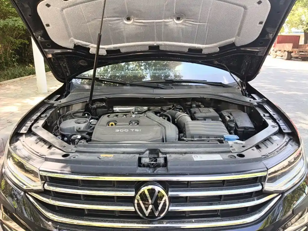 Volkswagen Tiguan L 2025 2025 Model 300TSI Auto 2WD Dragon Edition