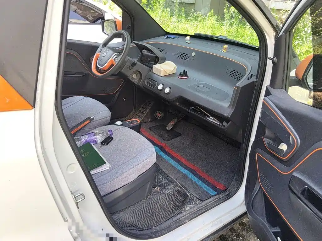 Baojun E100 2019 2019 250KM Smart Edition