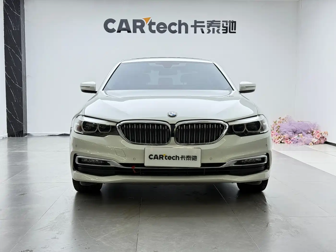 BMW 5 Series 2019 525Li Luxury Package фото 2