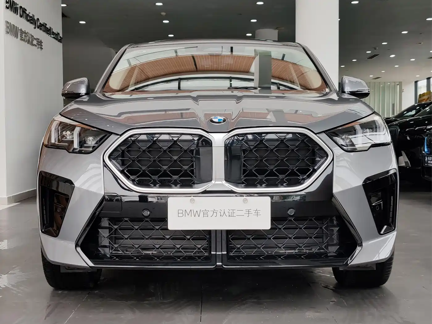 BMW X2 (Import) 2025 2024 sDrive25i M Sport Package