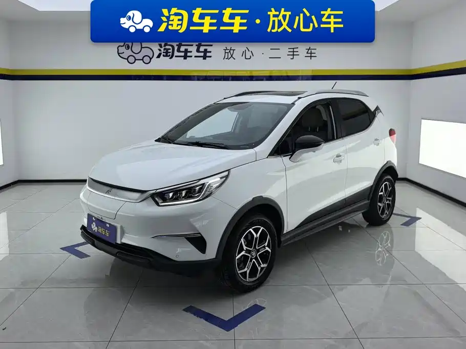 BYD Yuan Pro 2022 2021 401KM Premium Model
