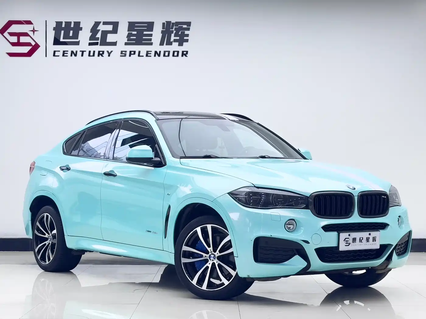 BMW X6 2017 xDrive35i M Luxury Sport фото 2