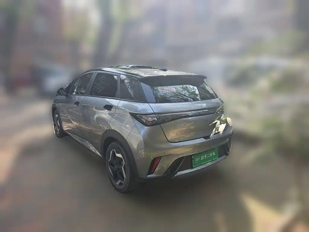 Фото 4 - BYD Dolphin