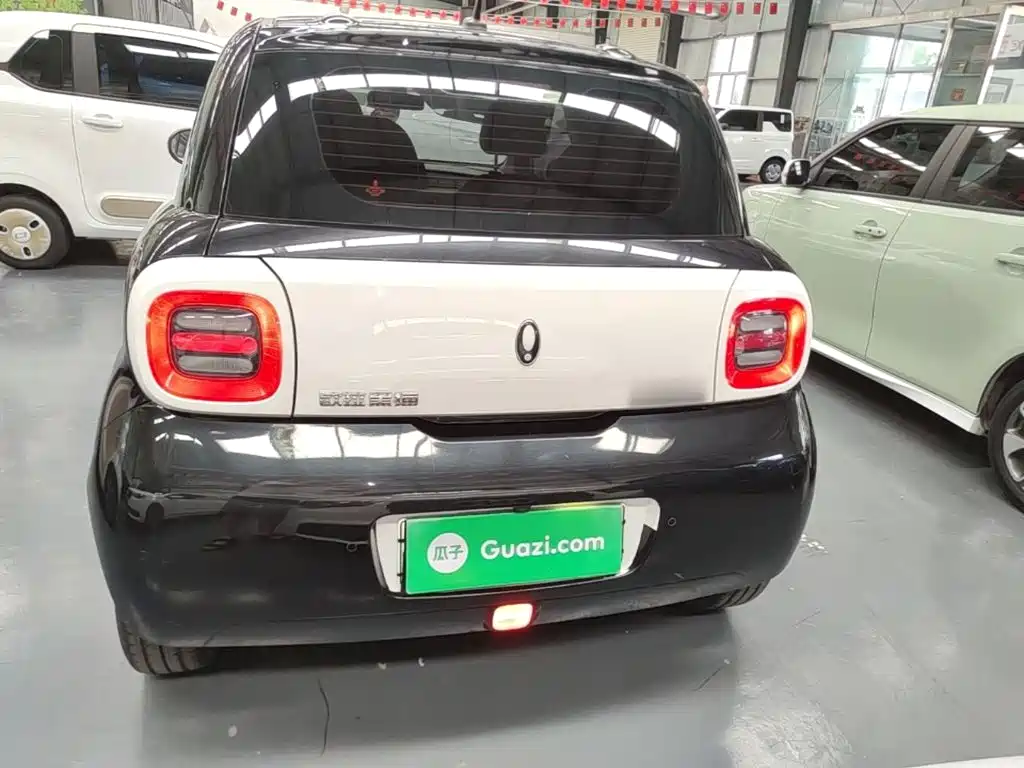 Ora Black Cat 2022 2022 351km Comfort Edition LFP