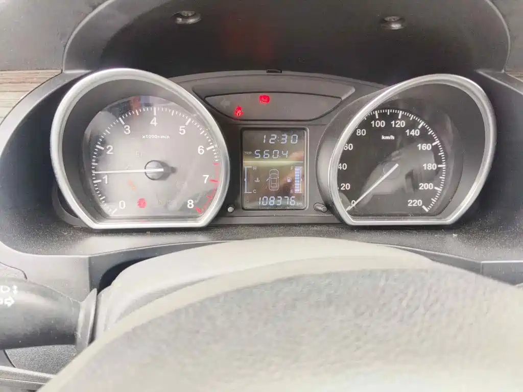2016 Zotye T600