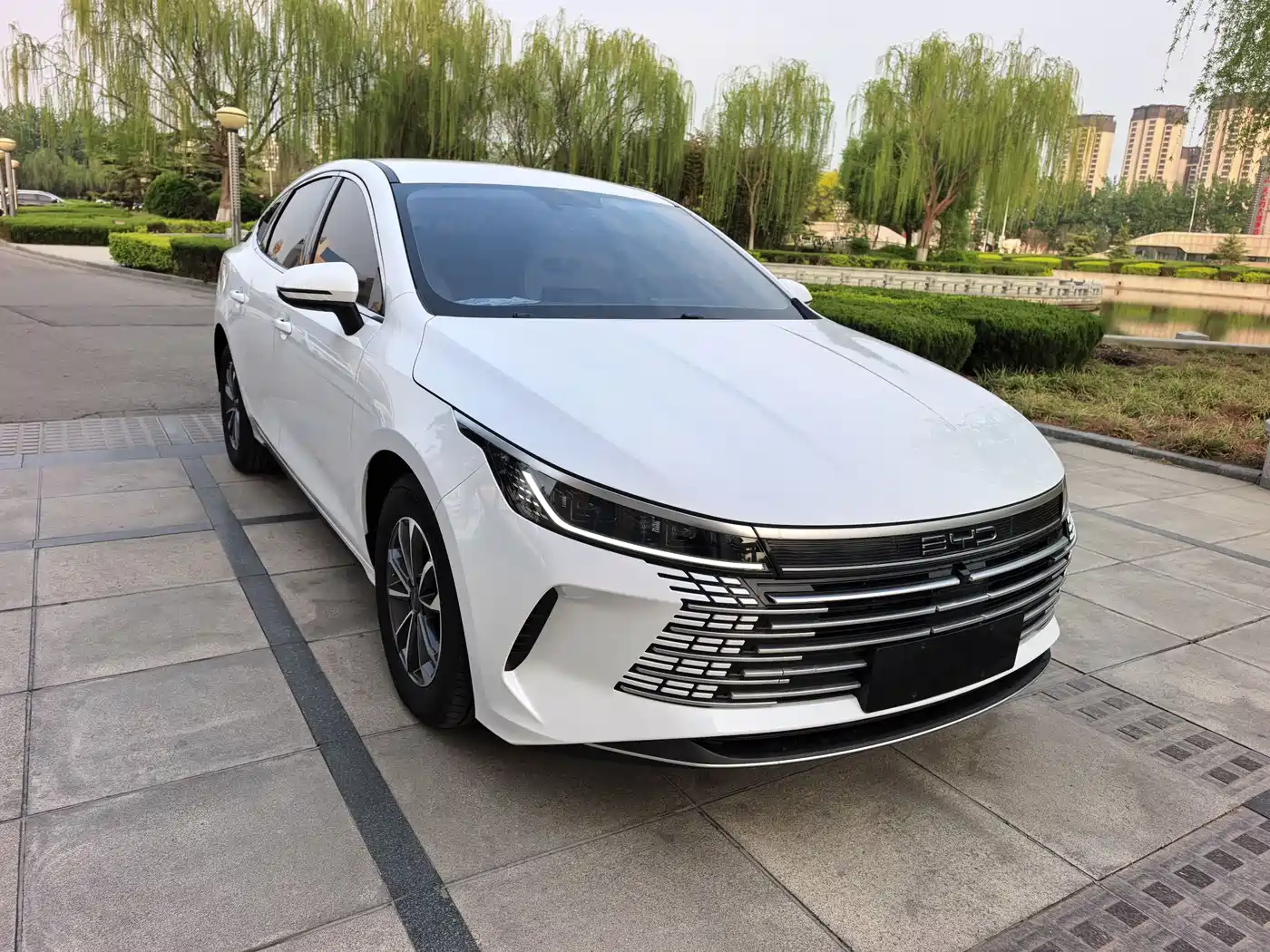 BYD Destroyer 05 2024 Glory Edition DM-i 55KM Luxury фото 2