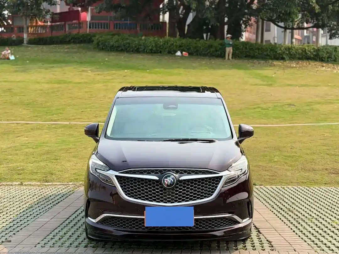 Buick GL8 2020 Avenir Six-Seat Elegance Edition фото 2