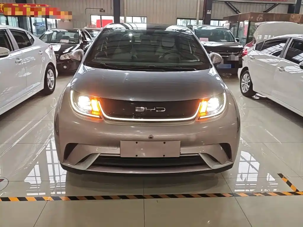 Фото 3 - BYD Dolphin
