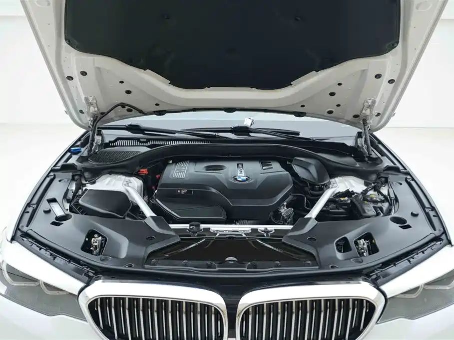 BMW 5 Series 2020 525Li Luxury Package фото 7