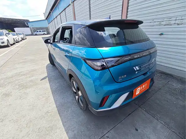 BYD Dolphin 2021 401km Knight Edition — фото 3