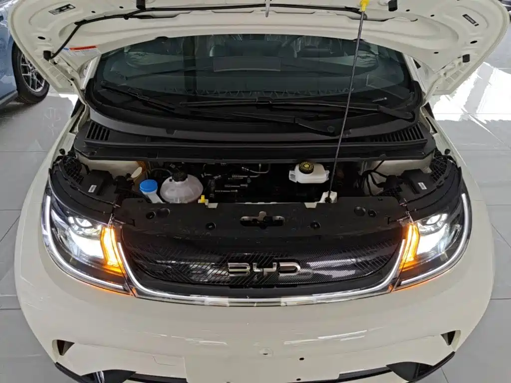 BYD Dolphin 2026 2025 420km Freedom Edition
