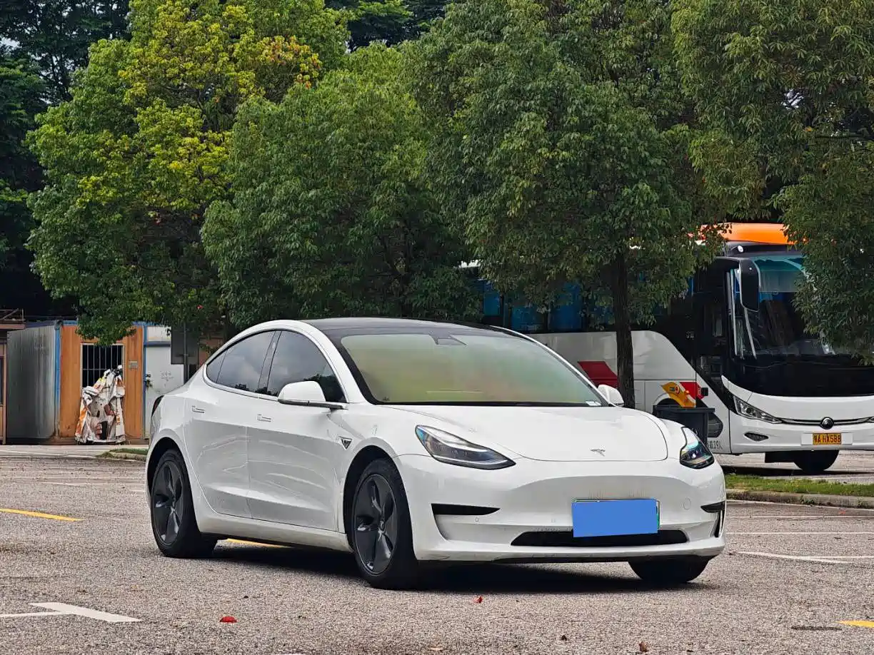 Tesla Model 3 2020 2020 Standard Range Rear-Wheel Drive Upgrade