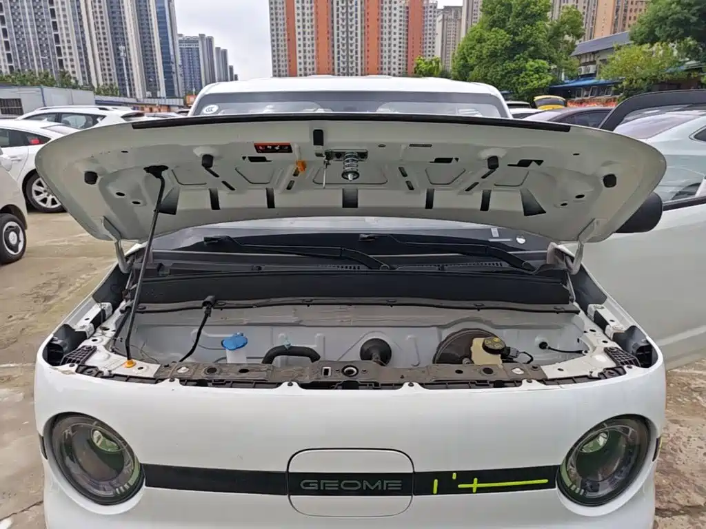 Geely Galaxy Panda 2026 2025 Panda mini 210km Vitality Bear