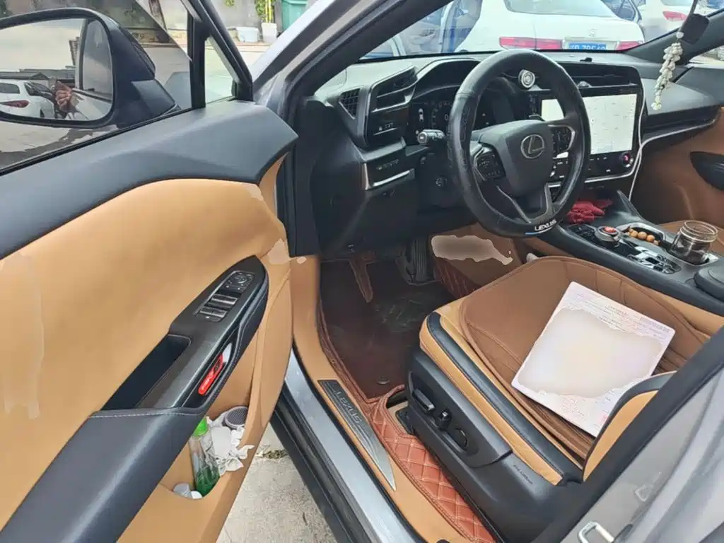 Lexus RZ 2023 2023 450e 4WD Deluxe