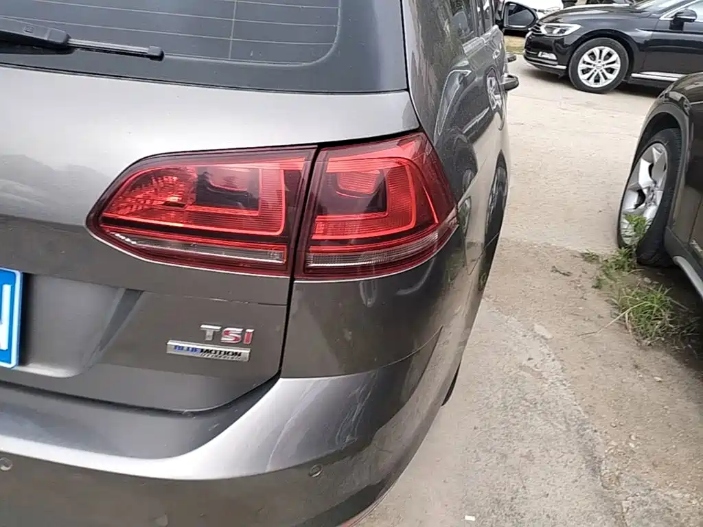 Volkswagen Golf (Import) 2016 2014 1.4TSI Luxury Wagon