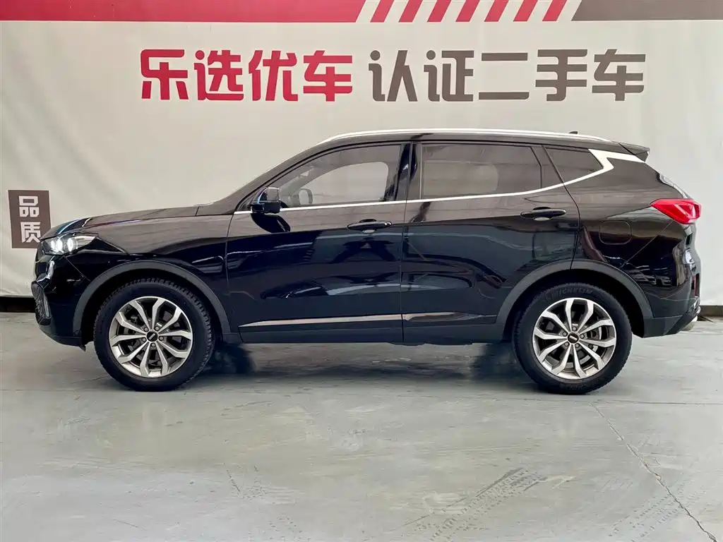 WEI PAI WEI BRAND VV6