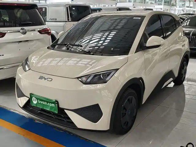 BYD Seagull 2025