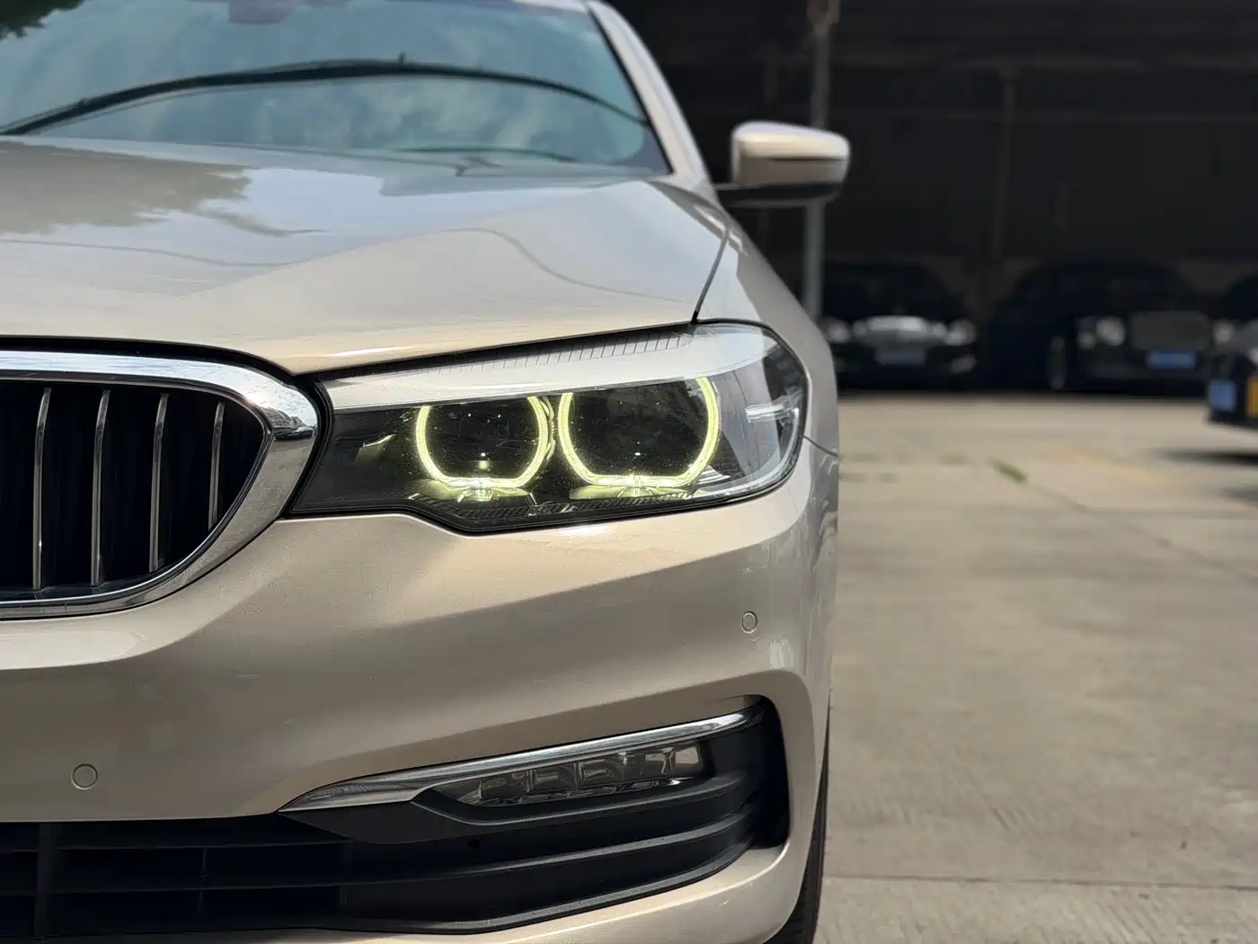 BMW 5 Series 2018 528Li Launch Special Edition фото 4
