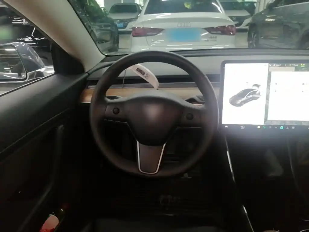 Фото 11 - Tesla Model 3 (Import)