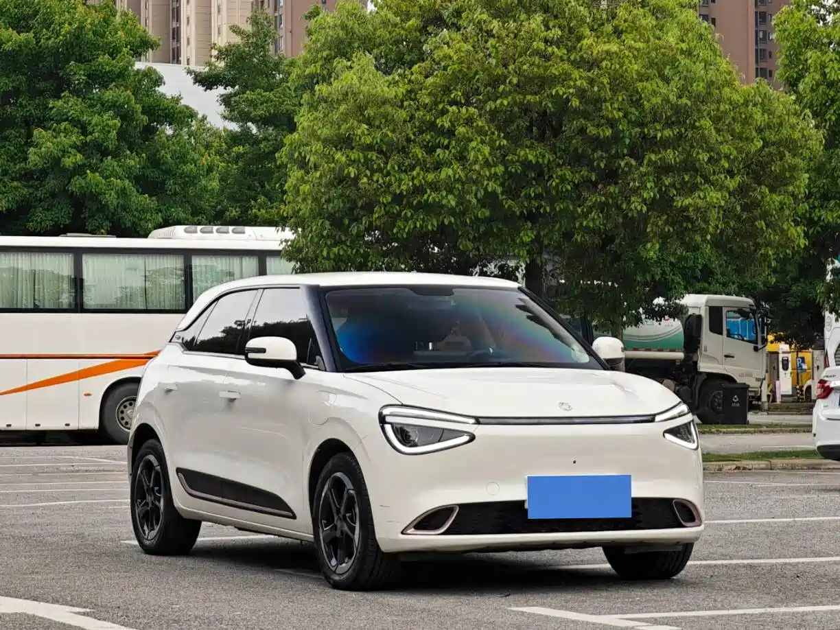 Dongfeng Yipai Nano 01 2024 2024 430 Plus Smart+