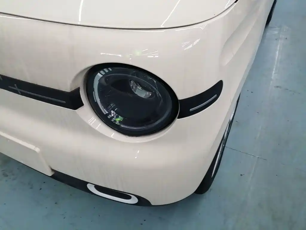 Geely Galaxy Panda 2026 2025 Panda mini 210km Vitality Bear